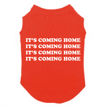 Load image into Gallery viewer, Its Coming Home Mania - Dog T Shirt