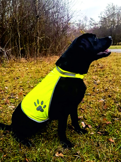 Personalised Korntex Hi Vis Dog Safety Vest - Add A Name S M L