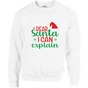 Santa i can explain on sale jumper